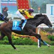 Dark Matter<br>Photo by Singapore Turf Club